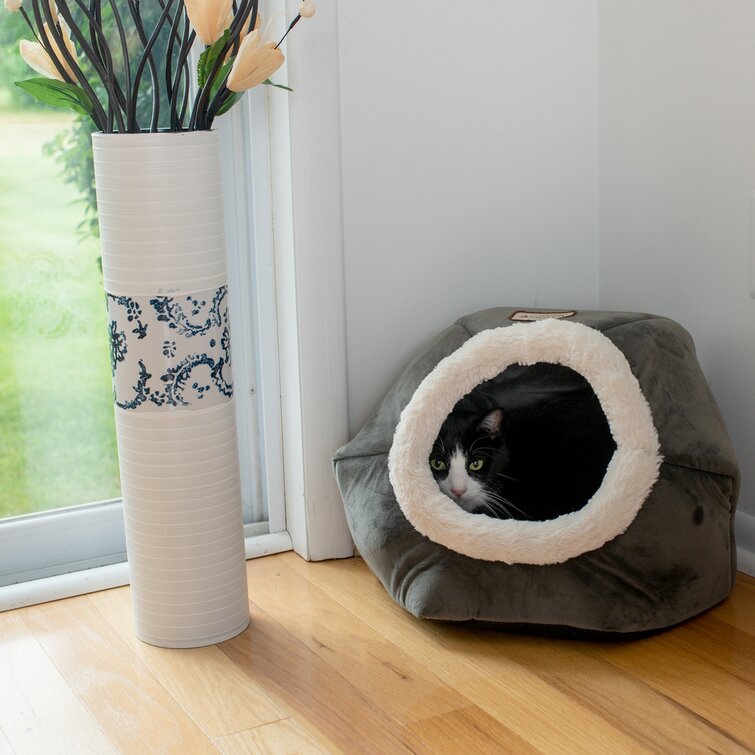 Wayfair store cat beds